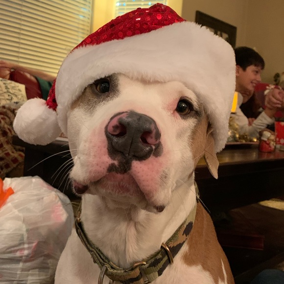 Meet your Posher, Monique - Picture 5 of 6